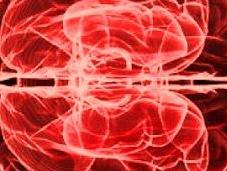 Bullismo: circuiti cerebrali ricompensa