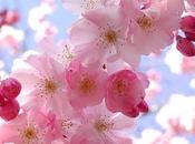 .:*°*:.pRiMaVeRa.:*°*:.