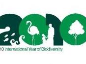 2010, l'anno internazionale della biodiversita'