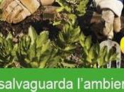 Earth Day: salvaguarda l’ambiente applicazioni green dell’Ovi Store