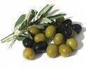 Olive nere salamoia