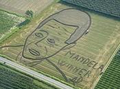 Facce trattore, Land