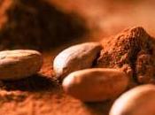 Sequenziato genoma cacao: anche Mars finanziatori