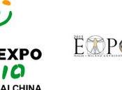 Milano 2015: sarà modesto expo (stampa Cinese)