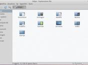Installare Nautilus Elementary Ubuntu 10,04 Lucid Lynx.