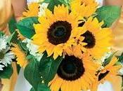 bouquet della sposa