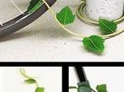 ivy: catena bici foglie!