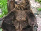 Foto giorno settembre 2010 l'orso yoga