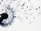 Alchimie