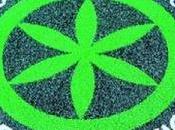 simbolo legaiolo marijuana