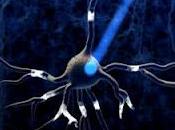 Optogenetica: usare luce controllare cervello topo)