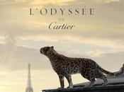 L'odyssee cartier... minuti pura magia!
