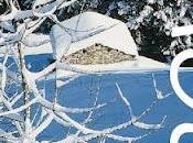 NEVE cura dell'AINEVA. SCARICA L'OPUSCOLO