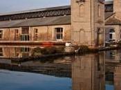 Natura natura oltraggiata Museo Sale Cervia