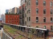 DanaGardenGuide York _High Line