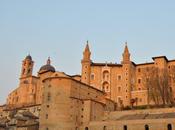 Urbino.