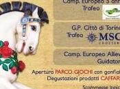 Pasqua l’Ippodromo Vinovo presenta corse speciali