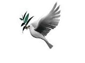 Buona Pasqua Happy Easter Feliz Páscoa Felices Pascuas Frohe Ostern