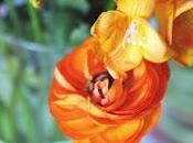 Pasqua: centrotavola, segnaposti auguri!