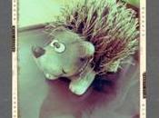 Filtri, effetti cornici foto Infinicam iPhone