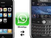 Download WhatsApp Messenger Gratis anche BlackBerry