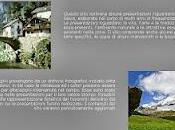 Alta Valgrande Sesia