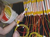 Altro Manzi! Questi minano!