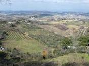 Passeggiate guidate nella Valdelsa Fiorentina