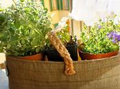 Solo Pizza Cinema.. impatto zero!