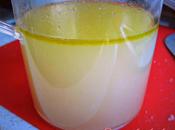 reflex Recipe Fish stock