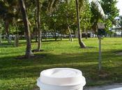 Miami Beach