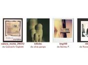 Foto della settimana