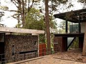 Corallo Tree House