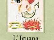 Anna Maria Ortese, l'eufemismo dell'Iguana