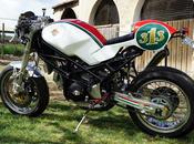 Monster Nasty Donkey Luis Moto