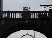 mistero della costola Verona