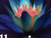 Recensione, Illusions Aprilynne Pike