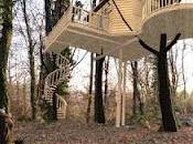 casa sull'albero