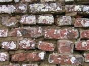 Design texture: wall textures scaricare liberamente