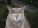 Slancio