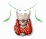 neoplasie della tiroide, incontro aggiornamento scientifico Centro Oncologico Fiorentino