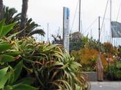 Aregai fiore edizione 2012