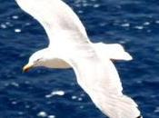 messaggio speranza