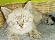 Pallone strabichino ?!?!