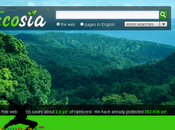 Ecosia, motore ricerca ecologico.