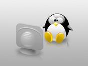 Linux sistema operativo free software: applicazioni campo sistemi informativi aziendali.