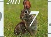 Acquista oggi ASTRO CASA 2011 l'anno coniglio
