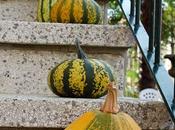 Zucche ornamentali Ornamental Gourds