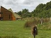 Studios Welham Merer Mark