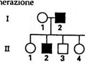 Alberi genealogici: esercizi soluzioni